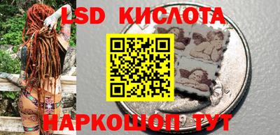 прущие грибы Заводоуковск