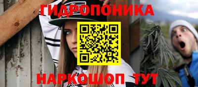 прущие грибы Заводоуковск