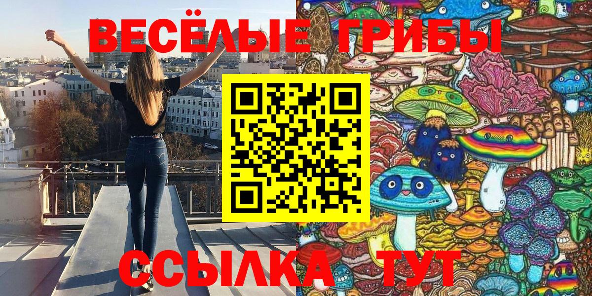 Кимовск  Псилоцибиновые грибы GOLDEN TEACHER  Вход с VPN 