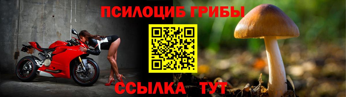 Псилоцибиновые грибы мухоморы Кимовск